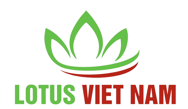 Túi vải Hà Nội